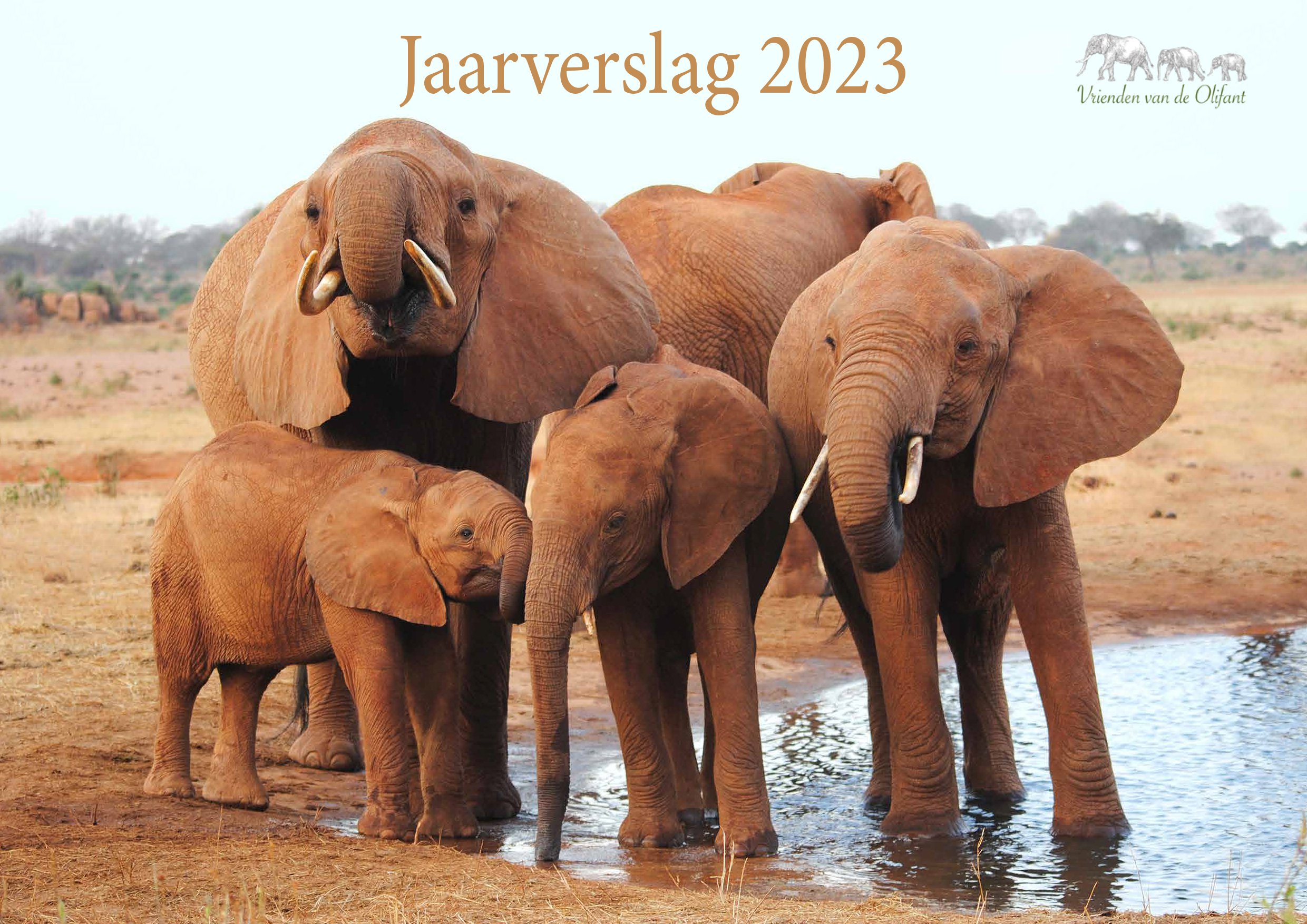 Jaarverslag 2023