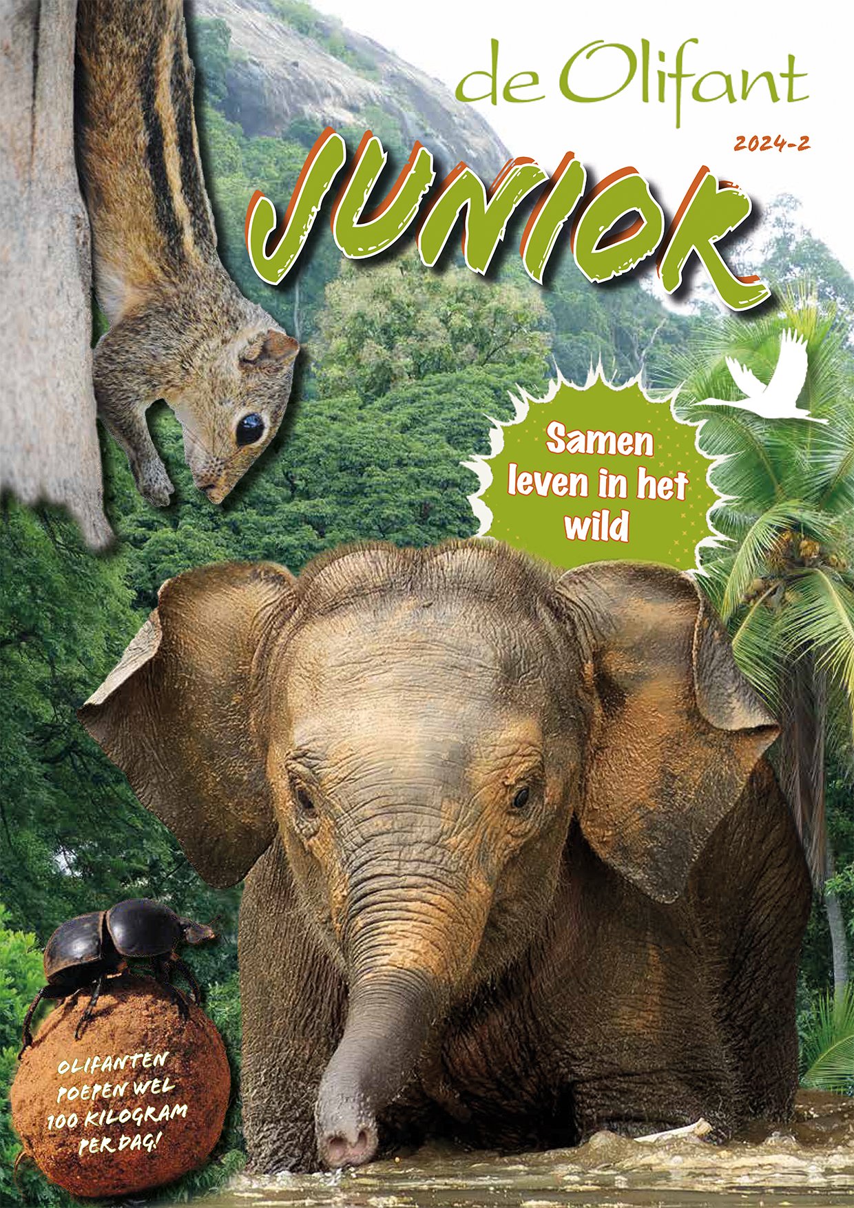 Tijdschrift ‘de Olifant’ Junior 2024-2