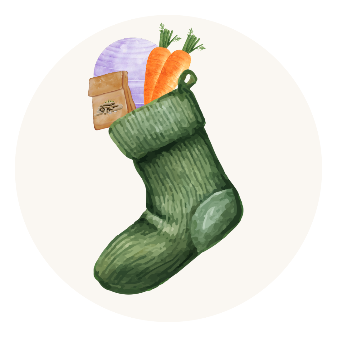 Gezond & Plezier Kerstsok