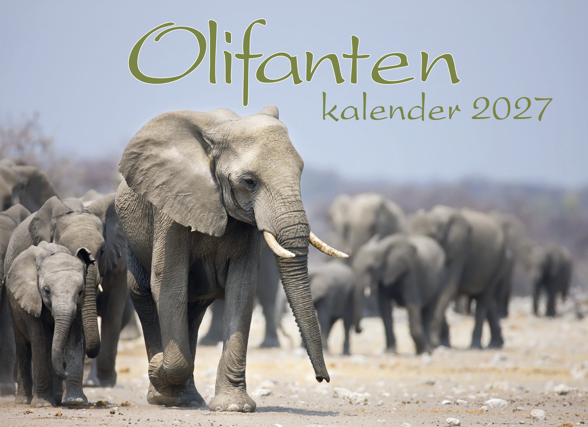 Olifantenkalender 2027