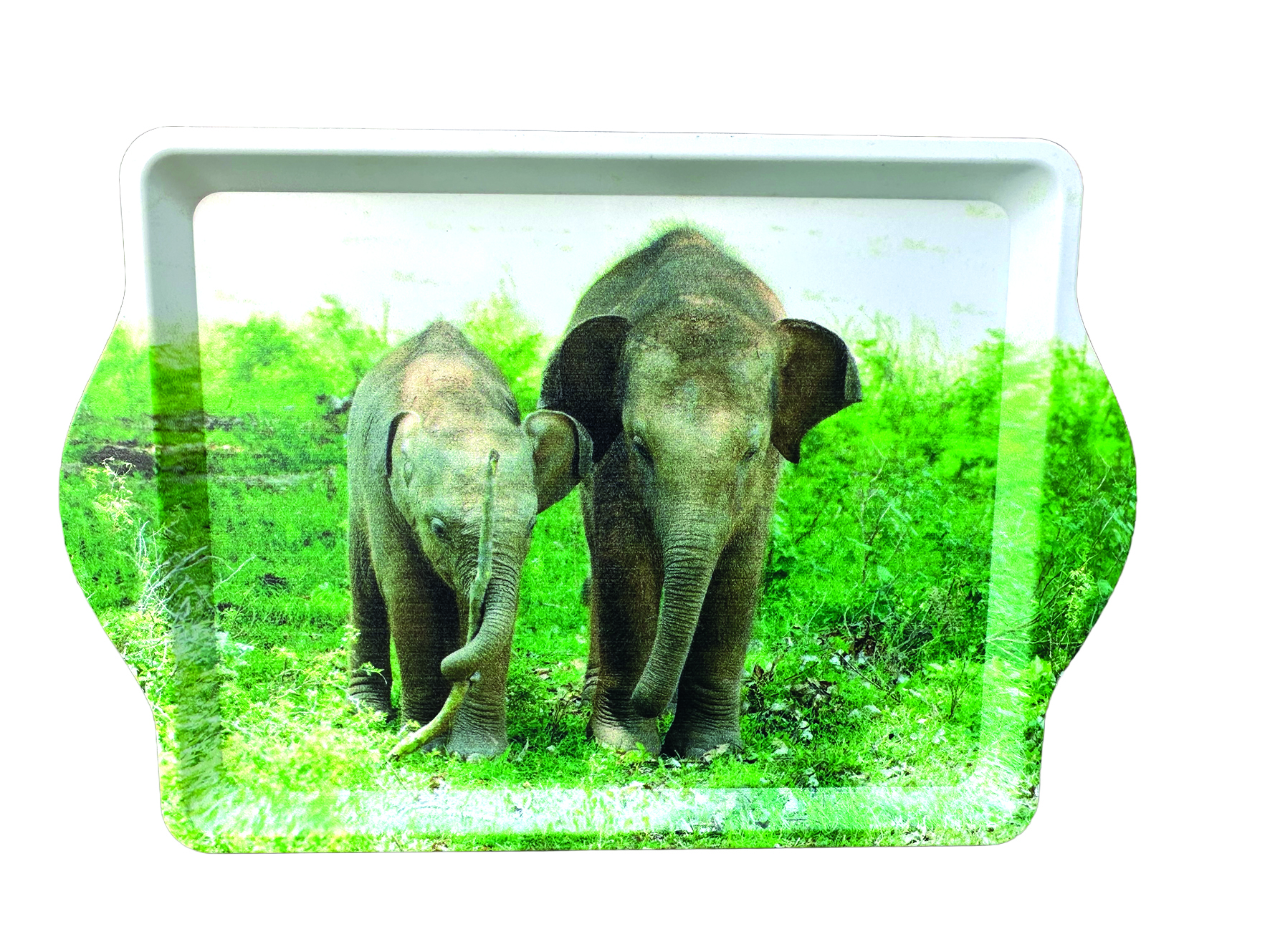 Set van dienblaadje en theezakjeshouder