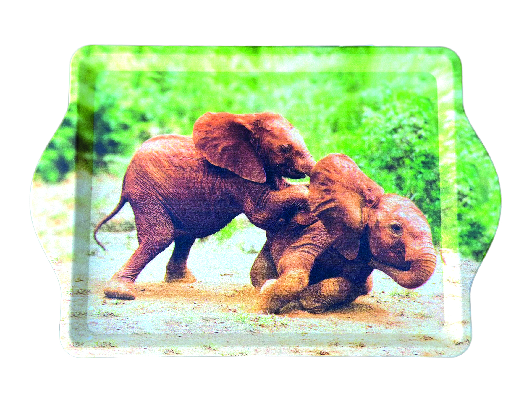 Set van dienblaadje en theezakjeshouder