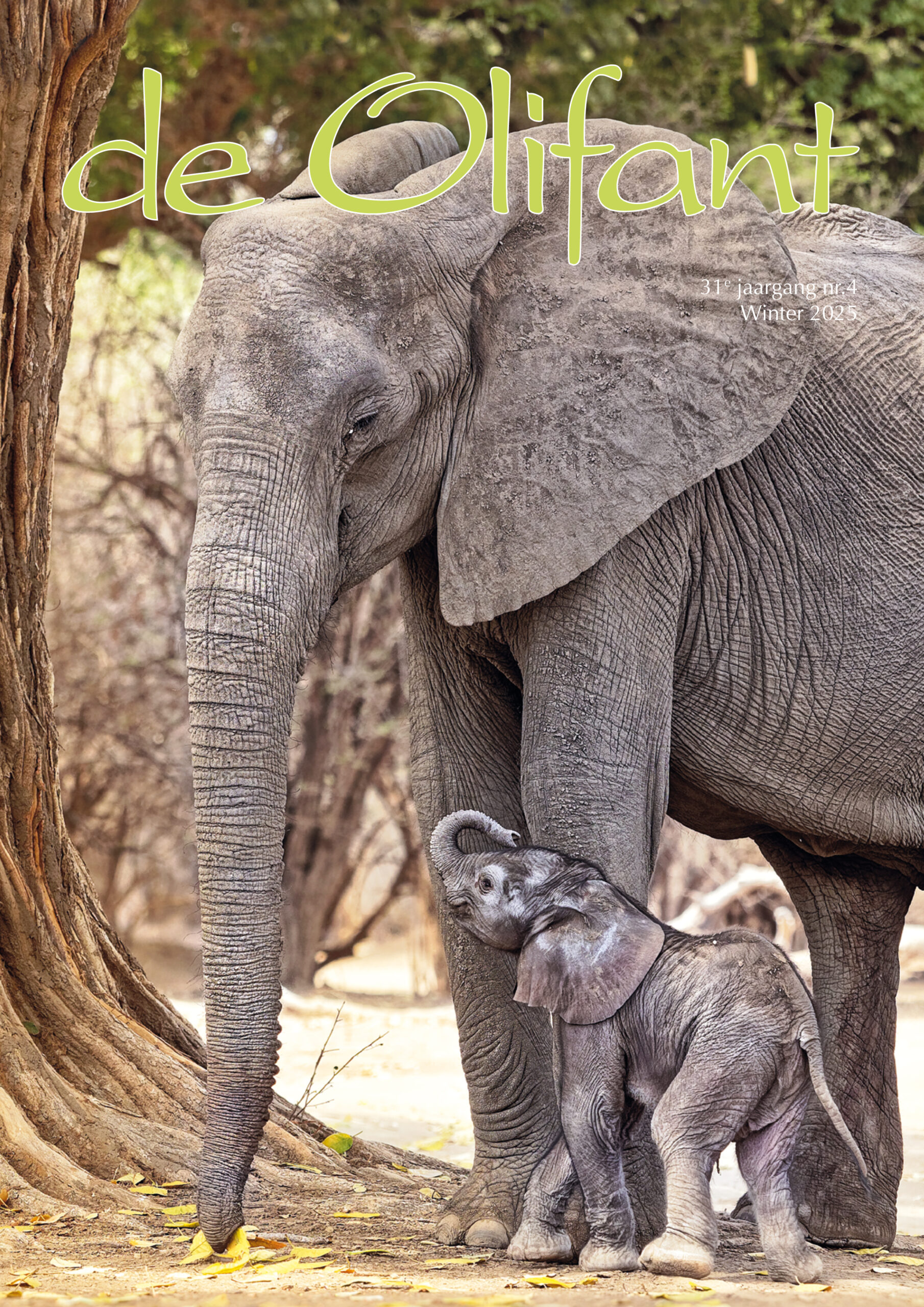 2025-4 Tijdschrift ‘de Olifant’ Winter 2025
