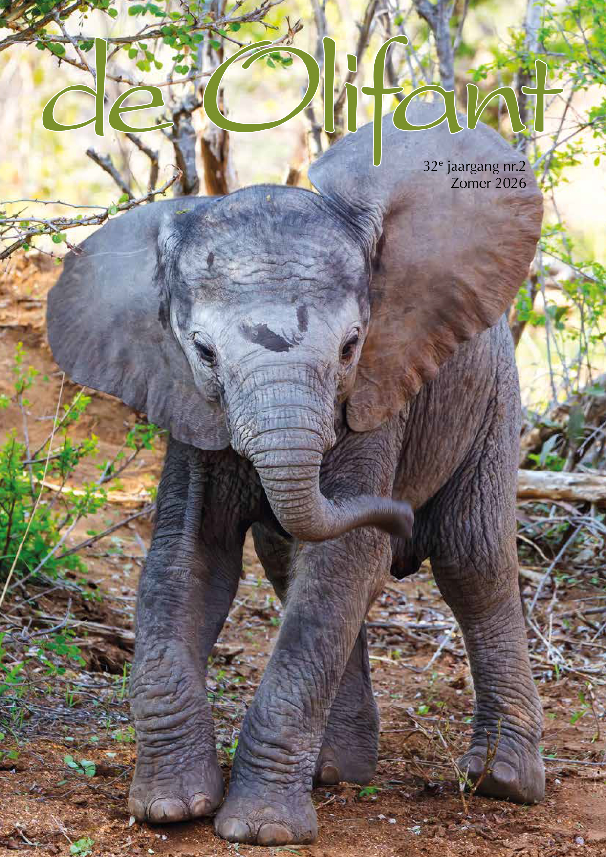Front de Olifant 32.2